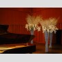 Macau, China - The unusual floral arrangements on stage at the Macau Cultural Centre